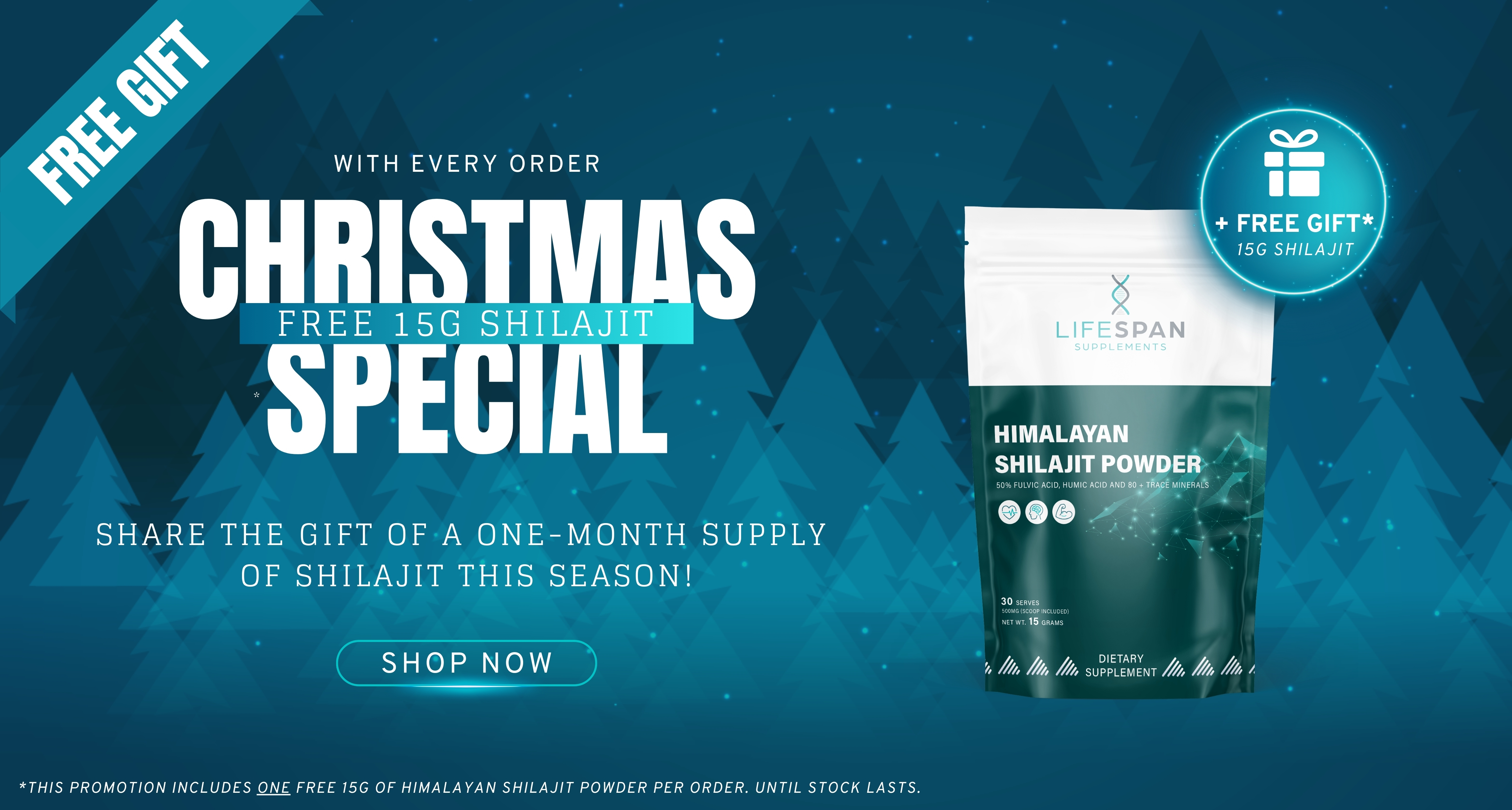 Lifespan-Supplements-christmas-banner